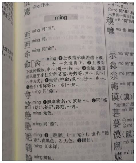 命同音字|“命”只有一条，所以命是没有同音字的？真的是这样吗？